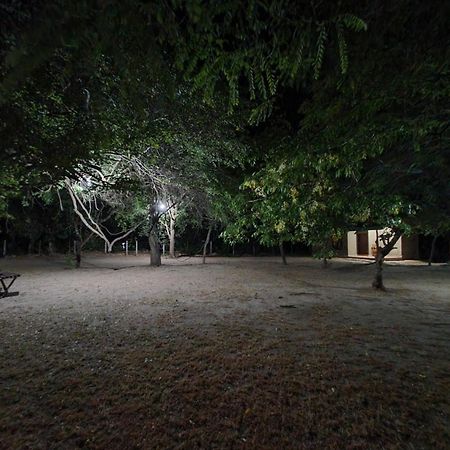克雷哈特村住宿加早餐旅馆 波隆纳鲁沃 外观 照片