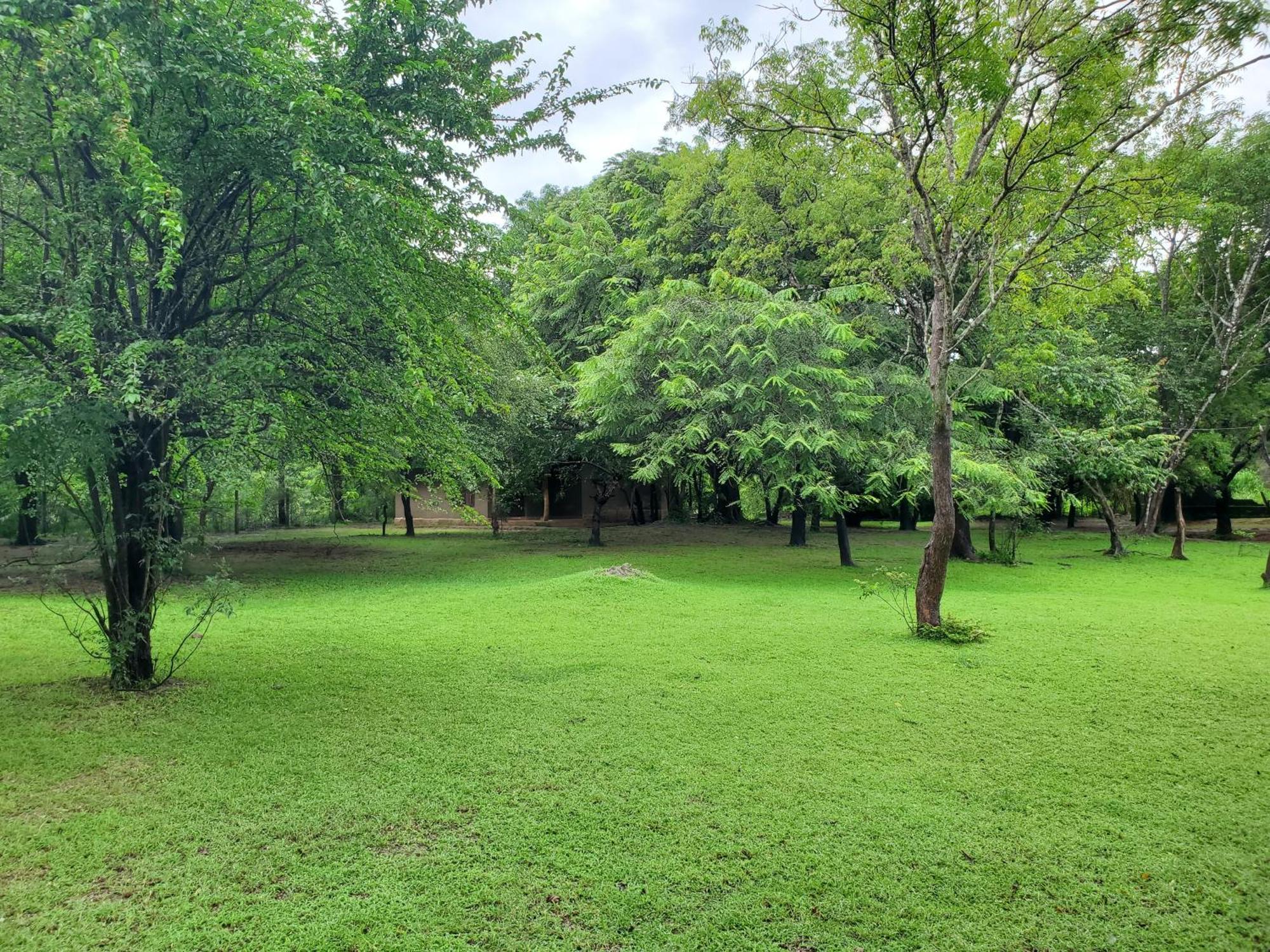 克雷哈特村住宿加早餐旅馆 波隆纳鲁沃 外观 照片