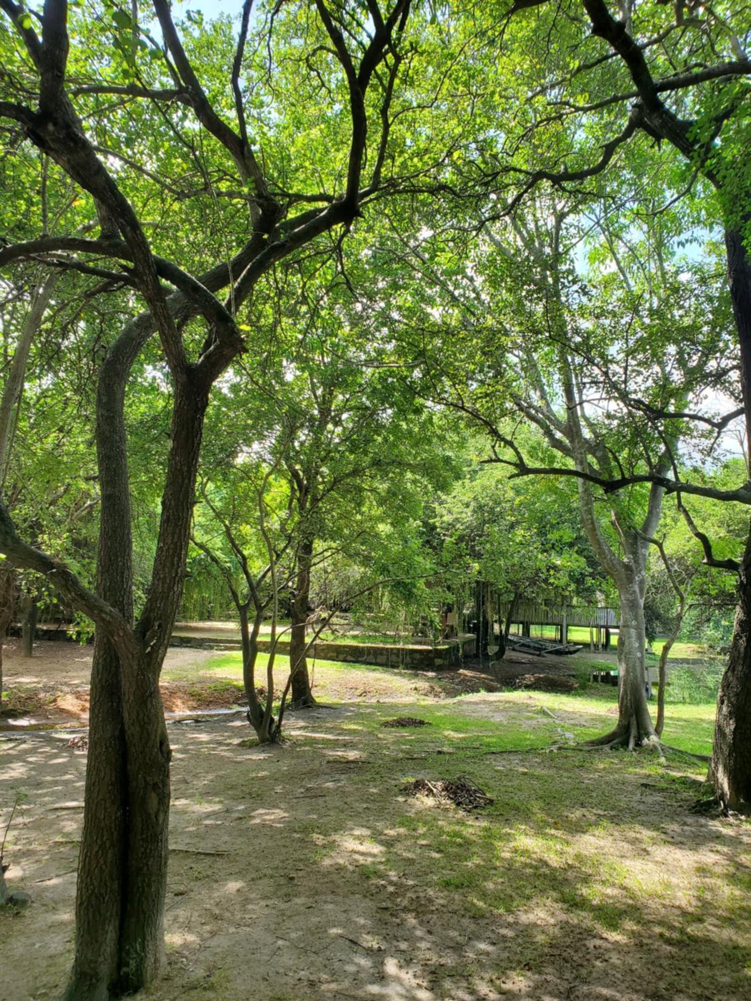 克雷哈特村住宿加早餐旅馆 波隆纳鲁沃 外观 照片